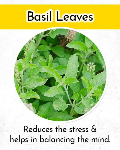 Basil Leaves to Control Low Blood Pressure