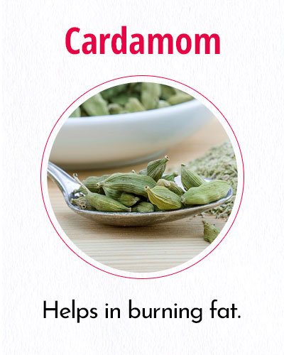 Cardamom For Weight Loss