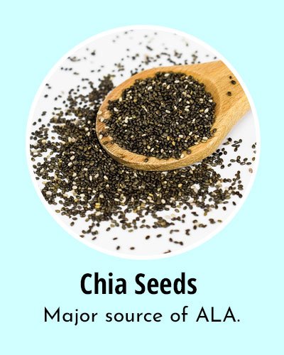 Chia Seeds Omega 3 Rich Foods