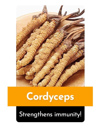 Cordyceps Herb For Energy