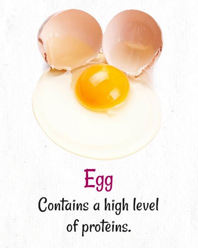 Eggs To Lose Weight