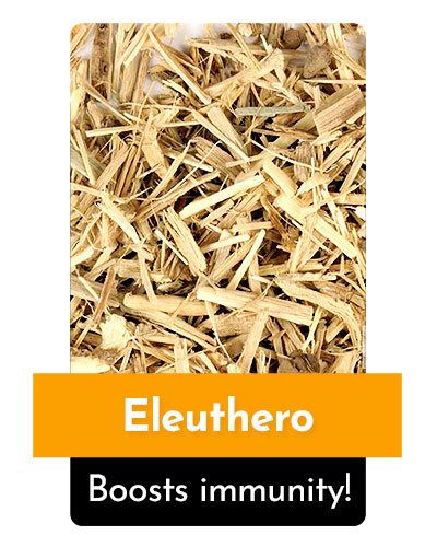 Eleuthero Herb For Energy