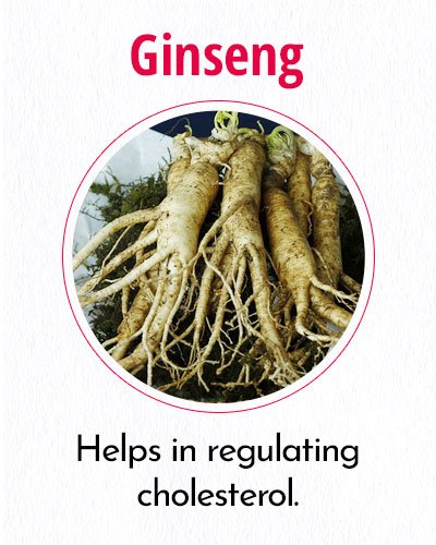 Ginseng For Weight Loss