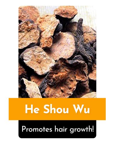 He Shou Wu Herb For Energy