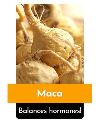 Maca Herb For Energy