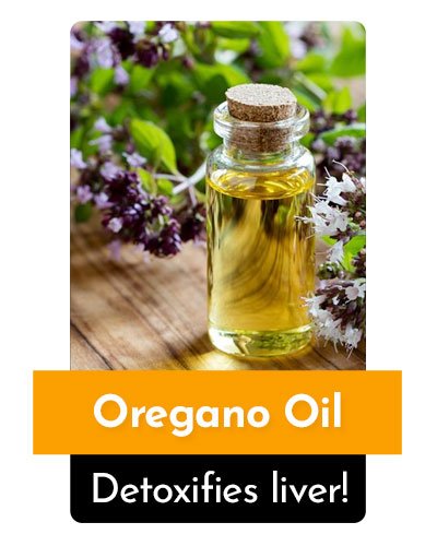 Oregano Oil Herb For Energy