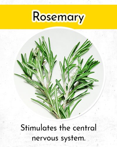 Rosemary to Control Low Blood Pressure
