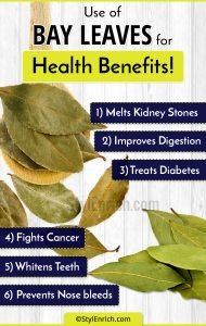 Bay Leaf Benefits : Multipurpose Usage Of Bay Leaves For Health Benefits!