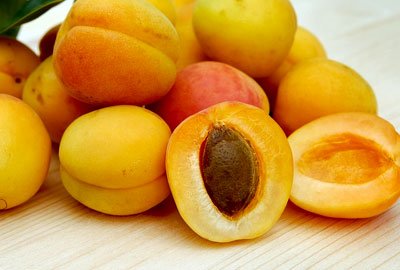 Apricots are advised for diabetics