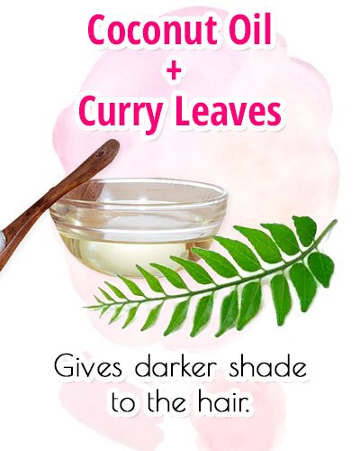 Coconut Oil With Curry Leaves For Premature Gray Hair