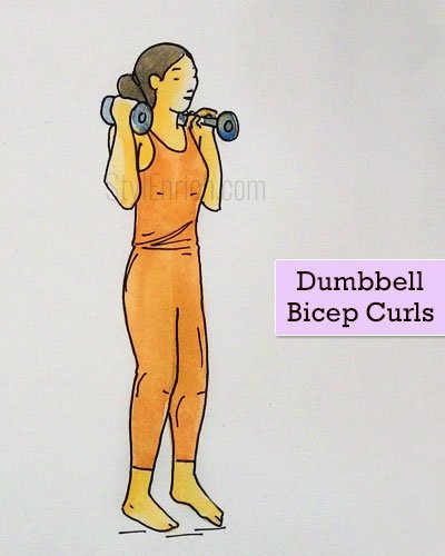 Dumbbell Bicep Curls