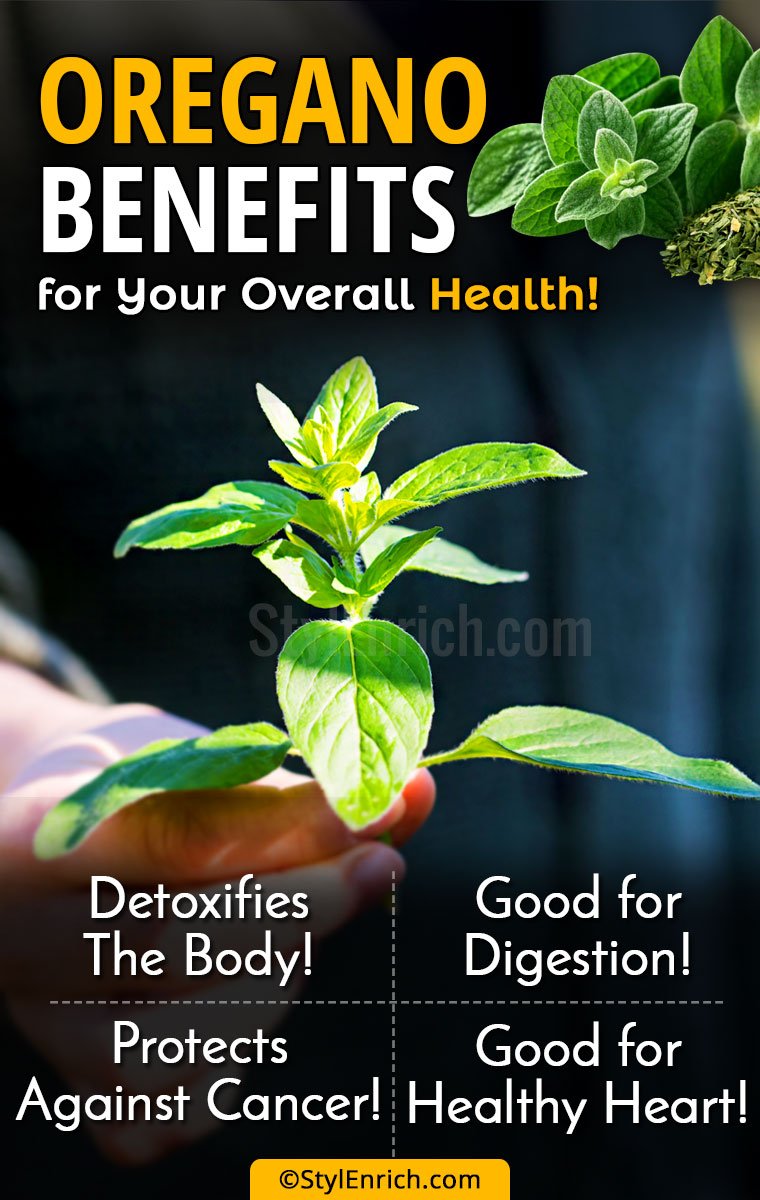 Oregano Benefits