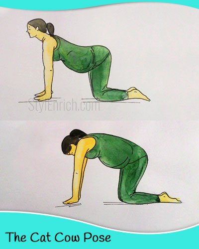 The cat cow yoga pose for pregnant women