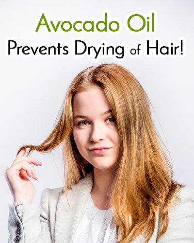 Avocado Oil Prevents Drying Of Hair