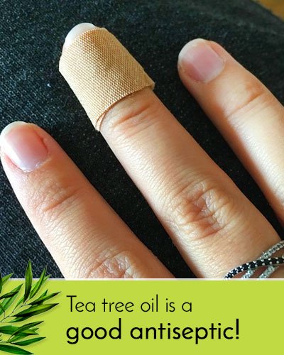 Tea Tree Oil Uses As Antiseptic