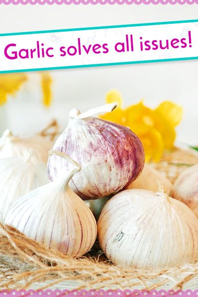 Garlic To Increase Milk Production