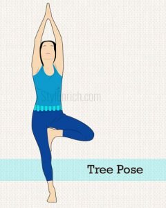 Hatha Yoga Poses For Beginners And Its Innumerable Benefits!