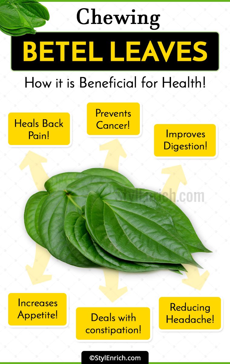 Betel Leaves Benefits