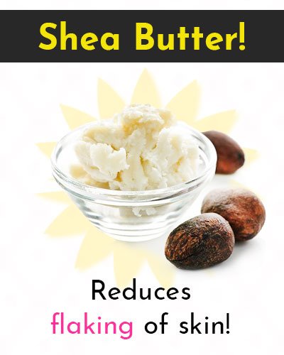 Shea Butter Natural Skin Moisturizer