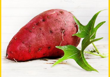 How To Grow Sweet Potatoes?