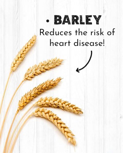 Barley For Diabetics