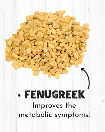 Fenugreek For Diabetics