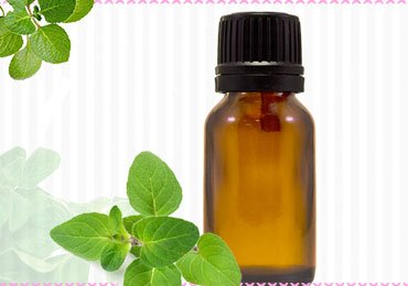 Oregano Essential Oil Benefits