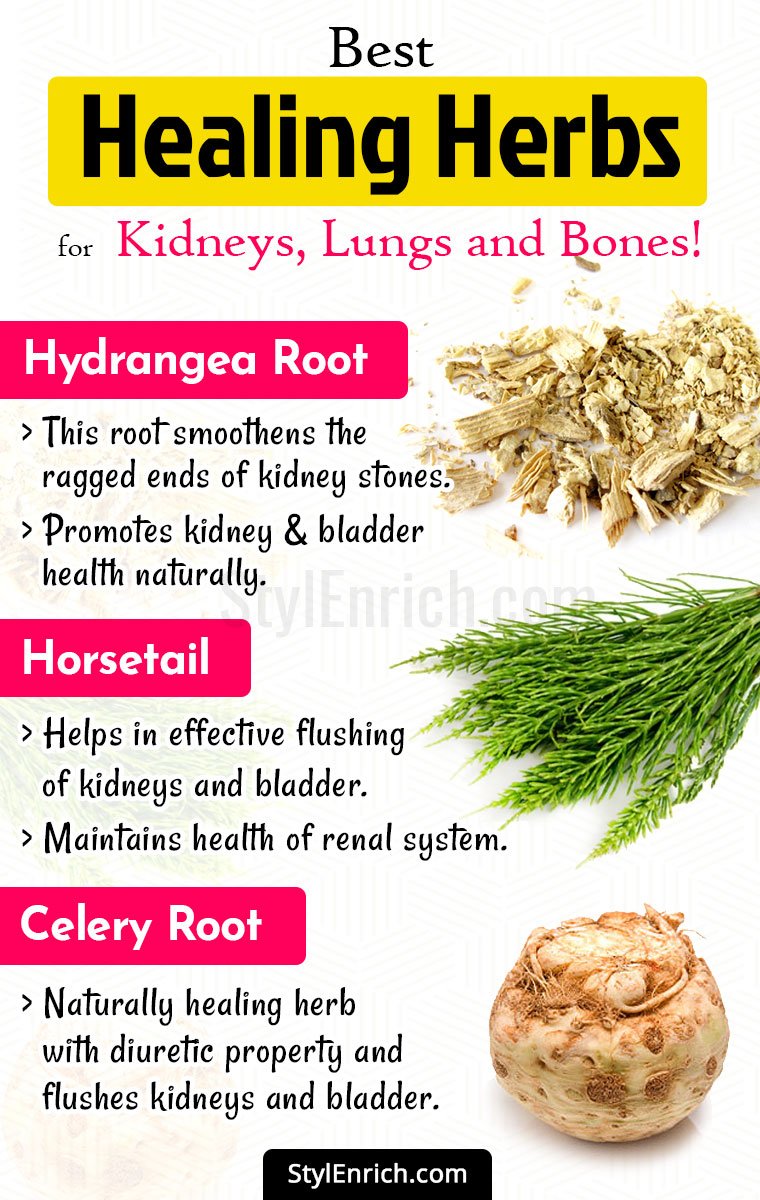 15 Medicinal Herbs That Will Help Give You Healthy Lungs Again