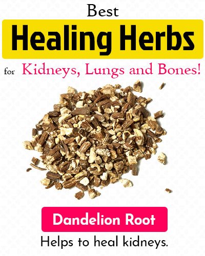 Dandelion Root Healing Herb