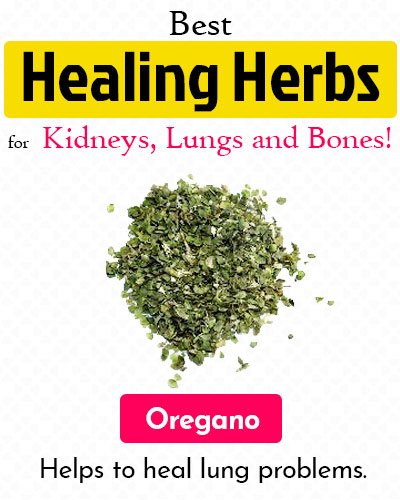 Oregano Healing Herb