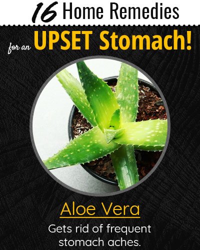 Aloe Vera For Upset Stomach