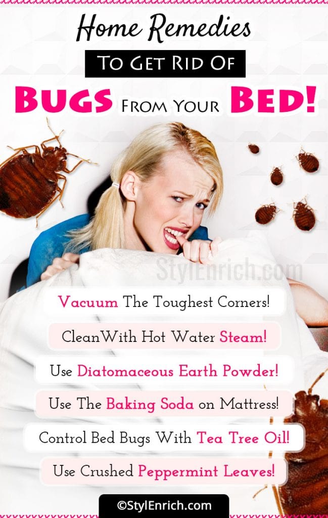 Home Remedies To Get Rid Of Bed Bugs Permanently!