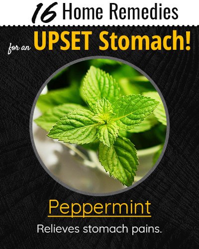 Peppermint For Upset Stomach