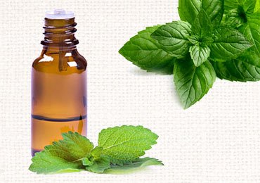 Peppermint Oil Uses