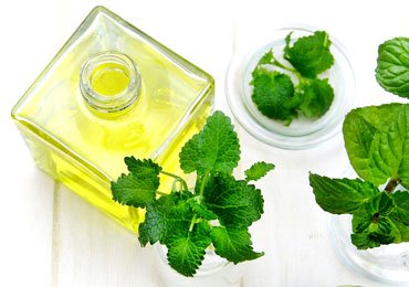 Benefits Of Peppermint Oil For Hair