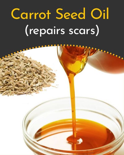 Carrot Seed Essential Oil for Scars