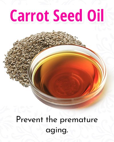 Carrot Seed Facial Oils Mask Recipe