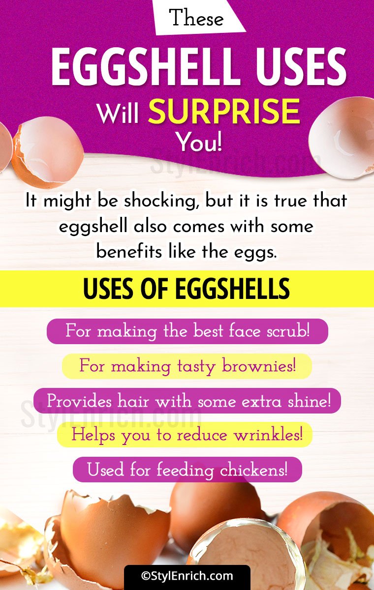 Eggshell Uses