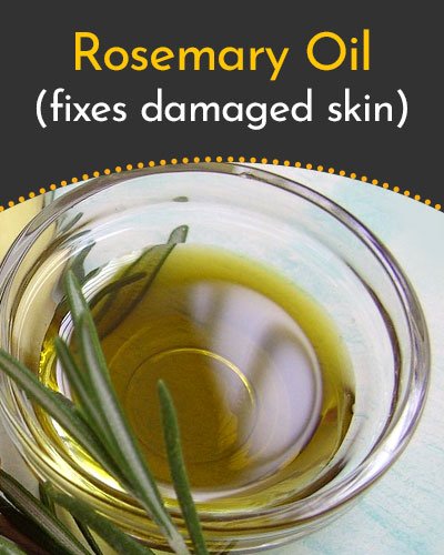 Rosemary Essential Oil for Scars