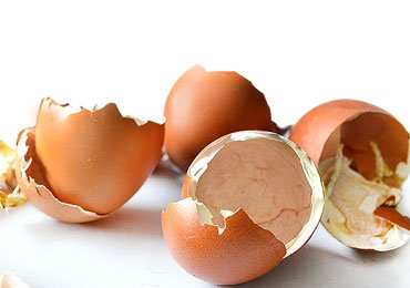 Eggshell Uses