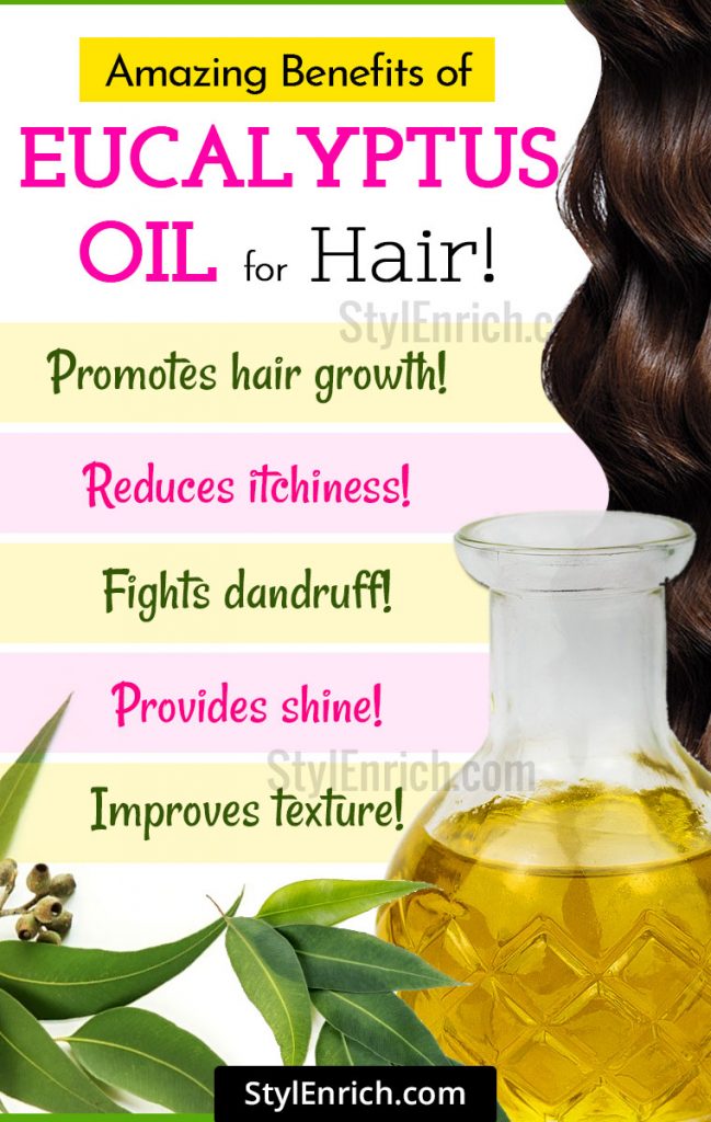 Eucalyptus Oil For Hair Using Eucalyptus Oil for Hair Growth & Dandruff!