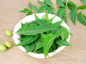 Benefits of Neem Leaves for Hair and Skin