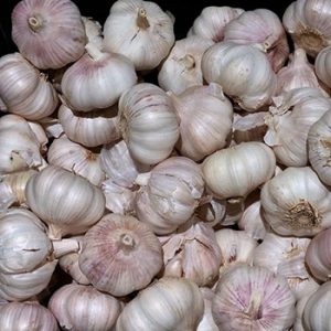 Garlic Oil Health Benefits