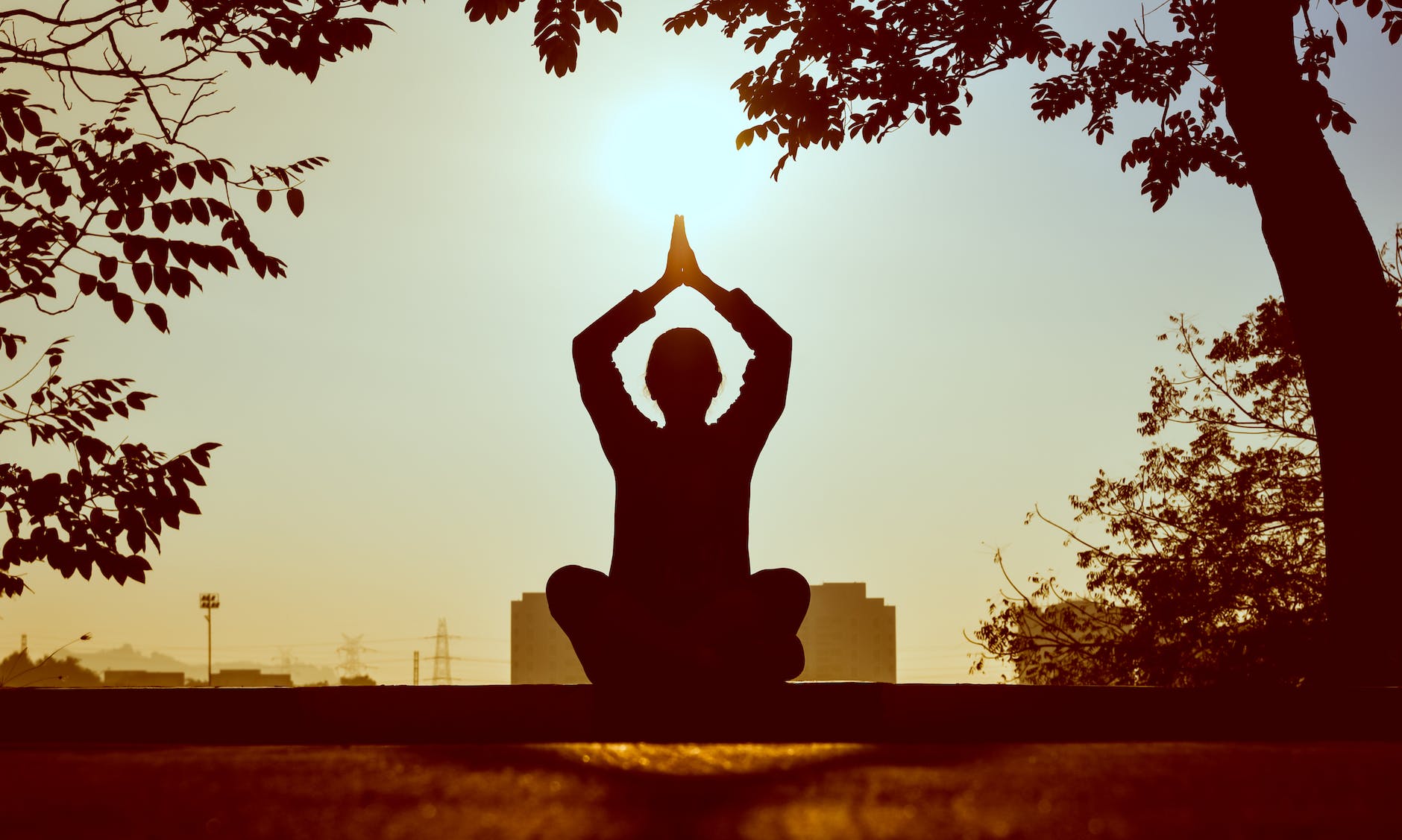 Sun Salutation Yoga or Surya Namaskar Yoga For Beginners!